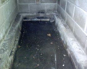 The inspection pit come wine cellar has become a 20cm deep swimming pool. The stuff stacked by the door that I removed last week was stopping water coming under the door when it rained. I didn't realise.